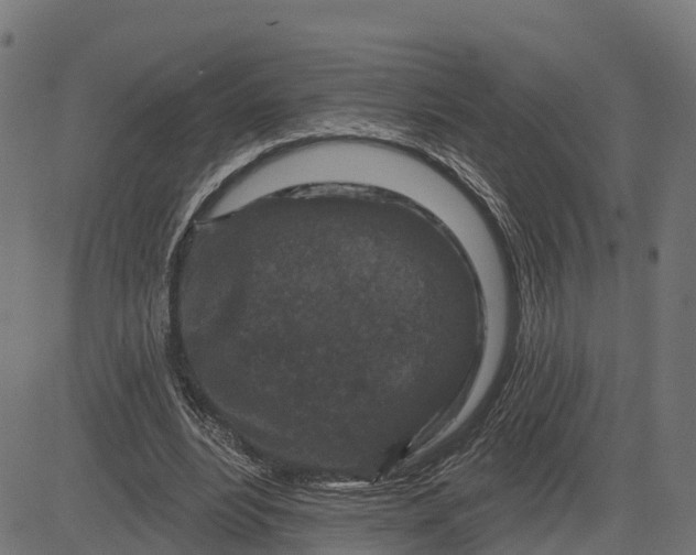 X0000084560488200703091749