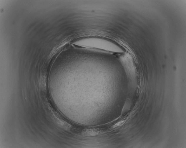 X0000084560489200703091749