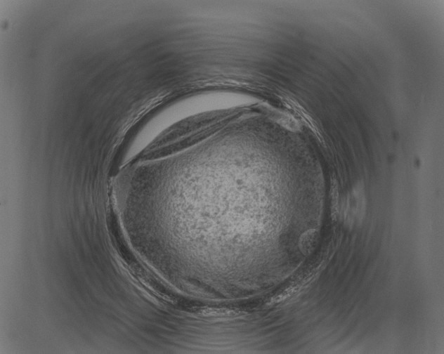 X0000084560490200703091749