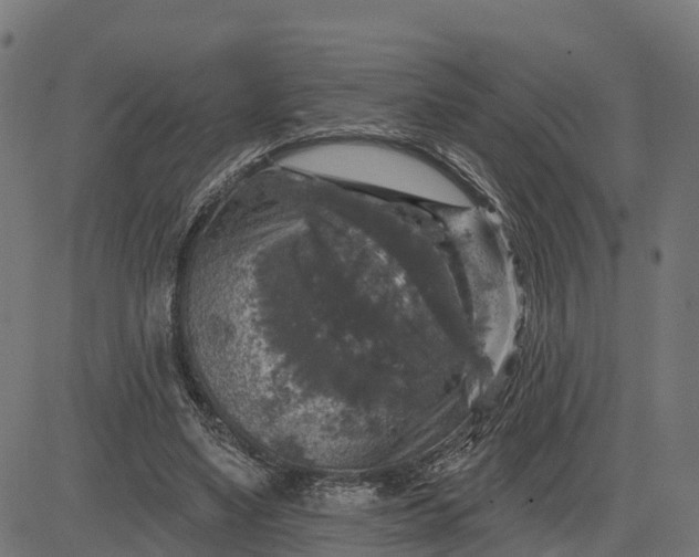 X0000084560491200703091749