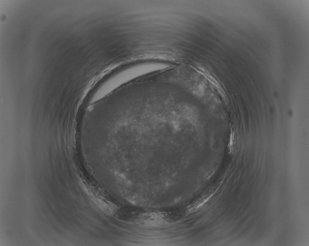 X0000084560492200703091749