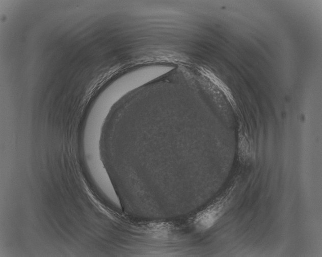 X0000084560493200703091749