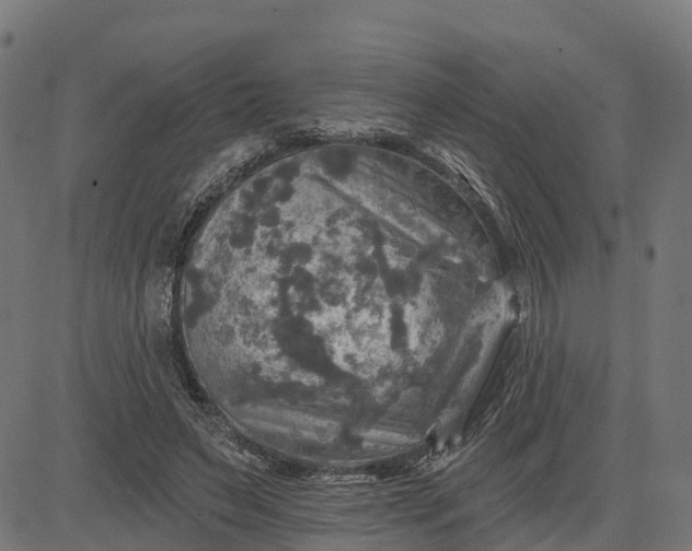 X0000084560495200703091749