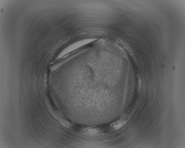 X0000084560498200703091749