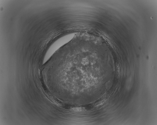 X0000084560499200703091749