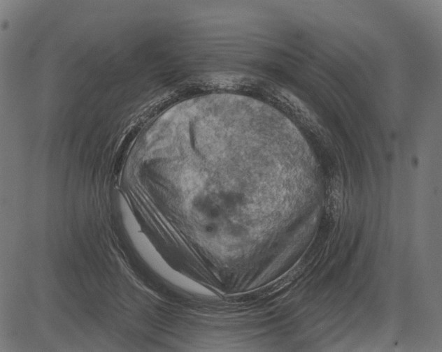 X0000084560500200703091749