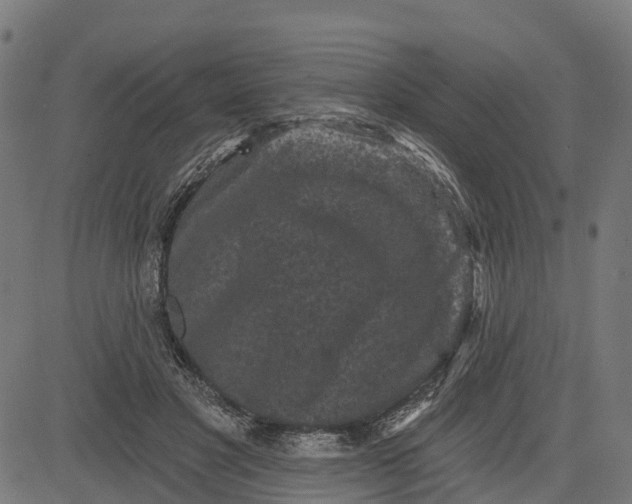 X0000084560501200703091749