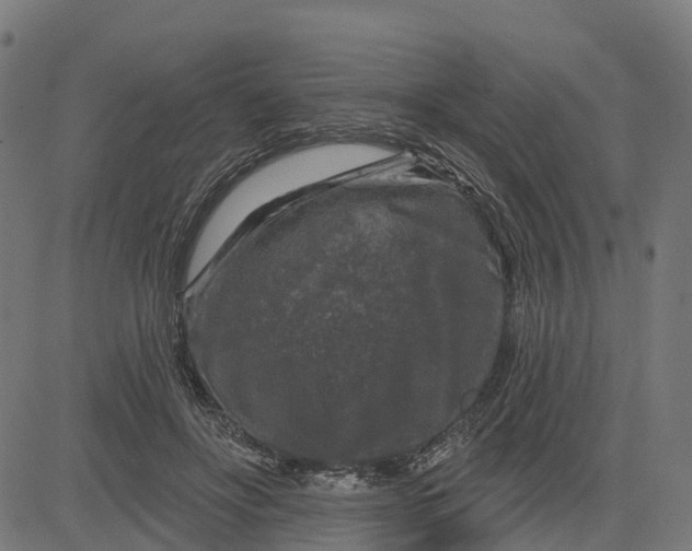 X0000084560502200703091749