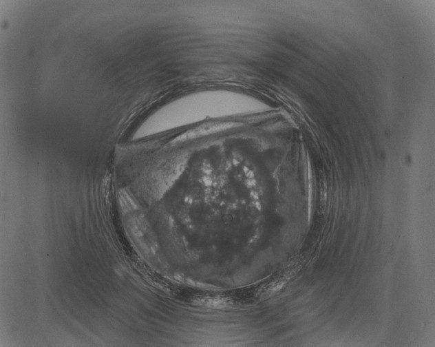 X0000084560503200703091749