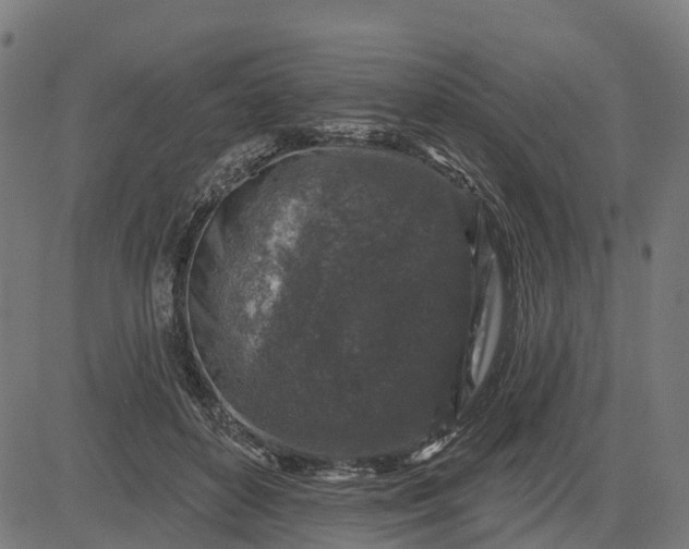 X0000084560504200703091749