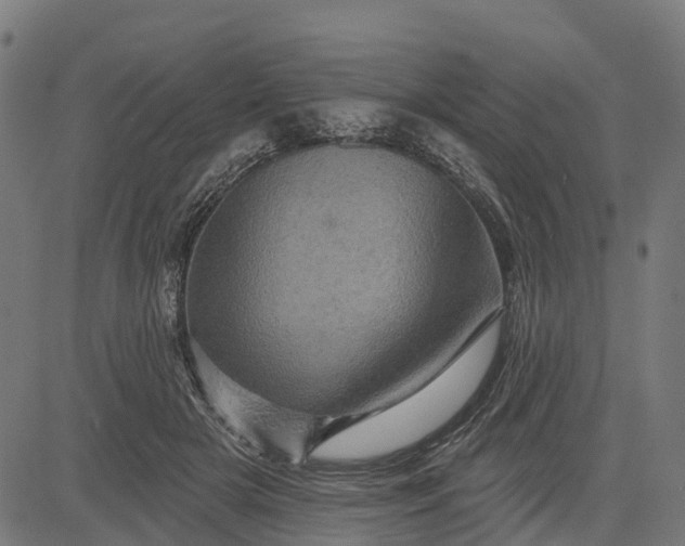 X0000084560505200703091749