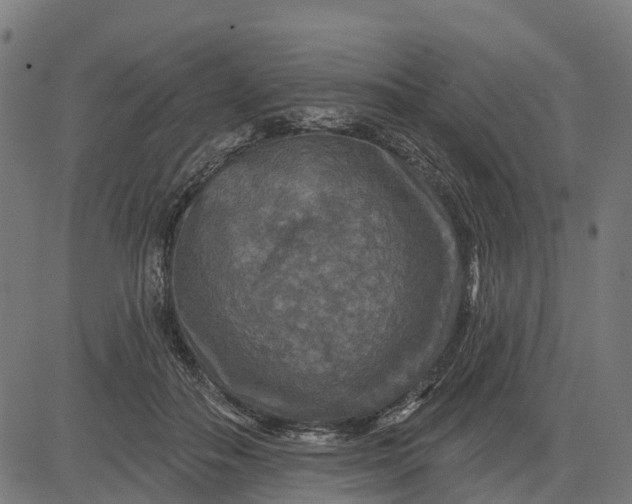 X0000084560506200703091748