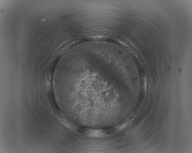 X0000084560507200703091748