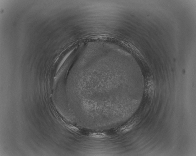 X0000084560508200703091748