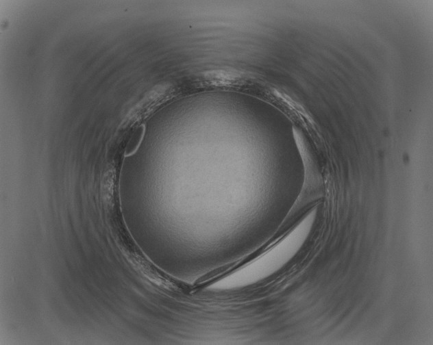 X0000084560509200703091748