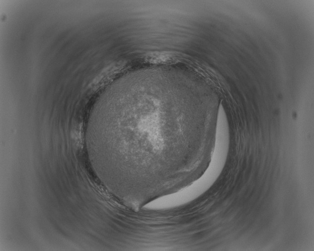 X0000084560510200703091748