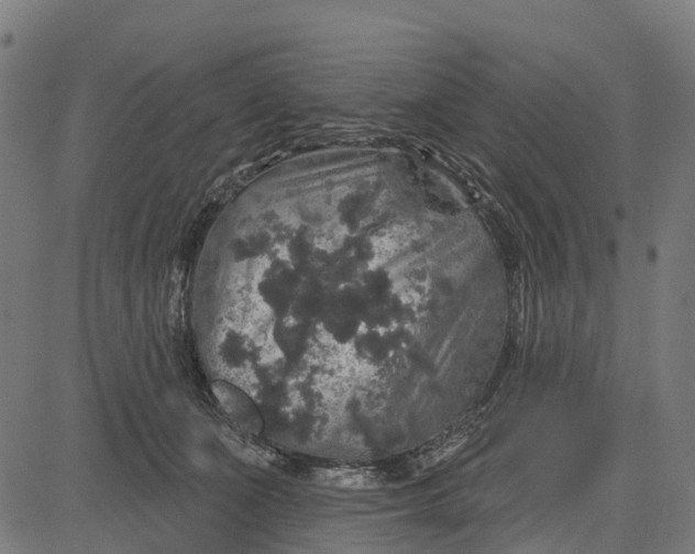 X0000084560511200703091748