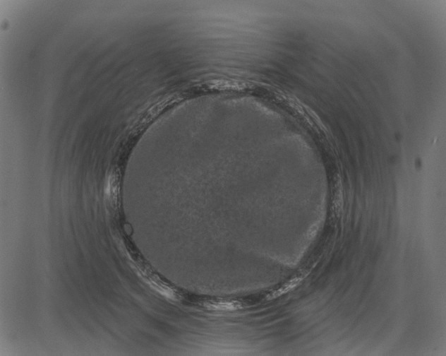 X0000084560513200703091748