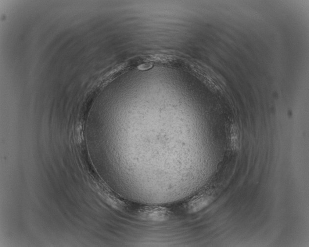 X0000084560514200703091748