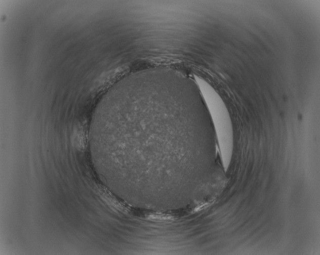 X0000084560515200703091748