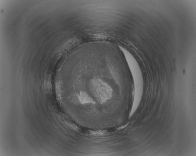 X0000084560516200703091748