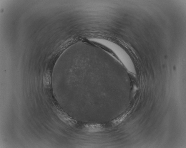 X0000084560517200703091748