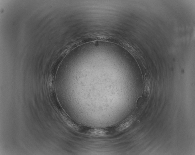 X0000084560518200703091748