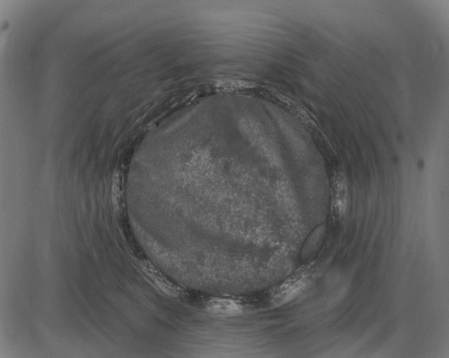 X0000084560519200703091748