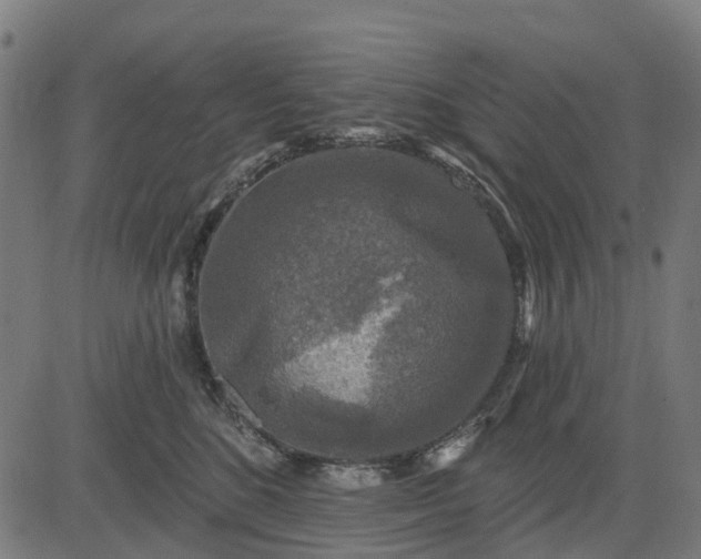 X0000084560520200703091748