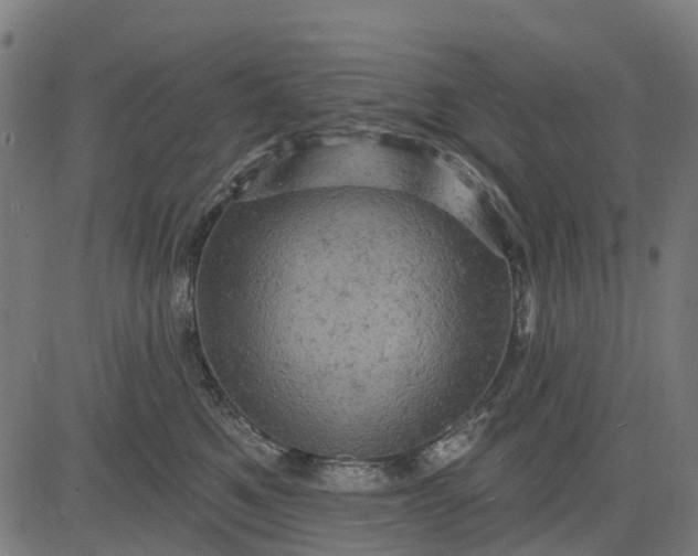 X0000084560521200703091748