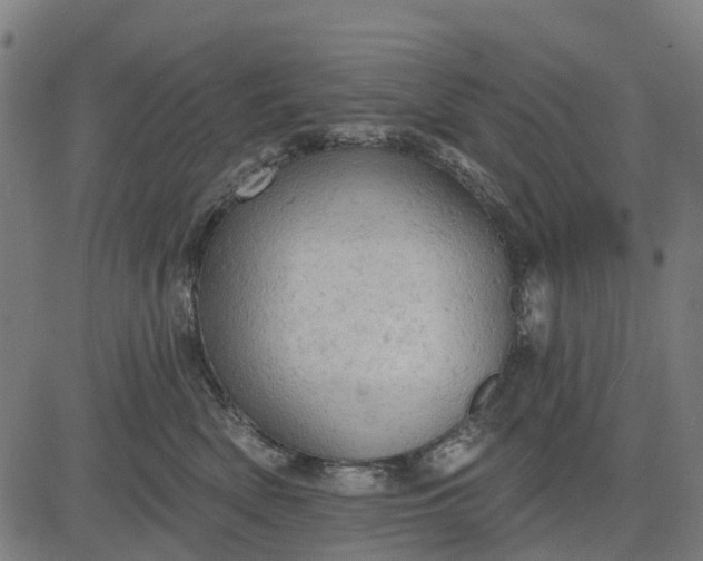 X0000084560522200703091748