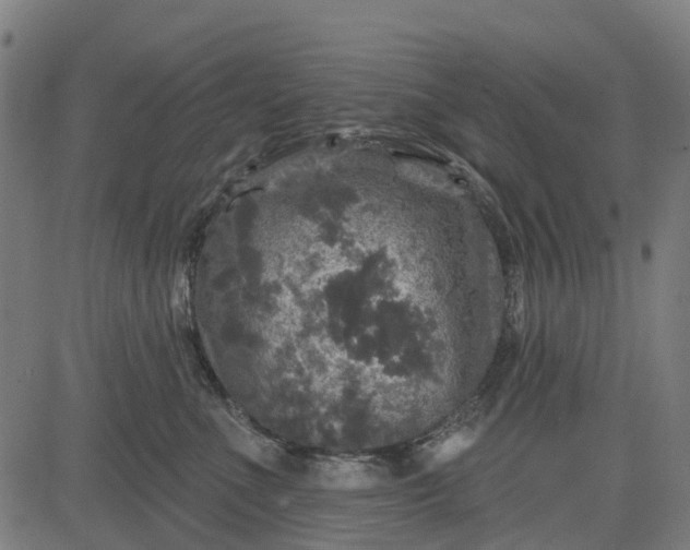 X0000084560523200703091748