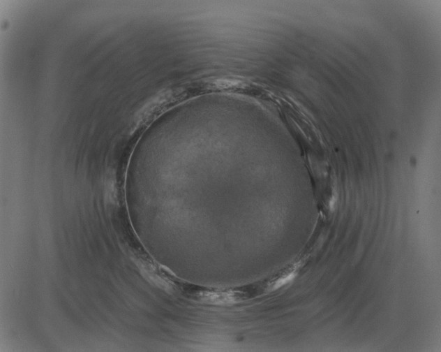 X0000084560524200703091748