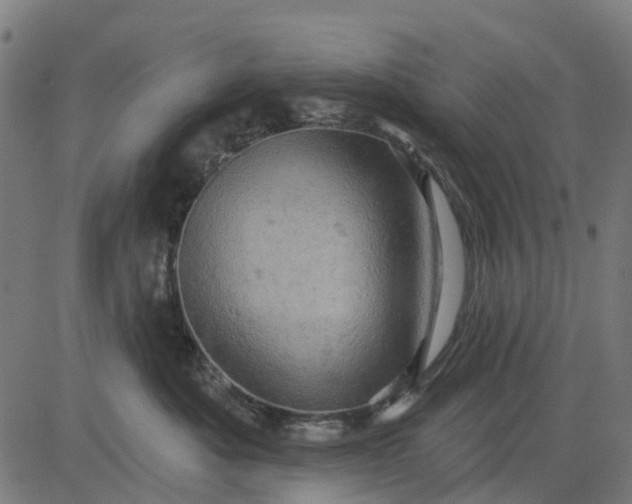 X0000084560525200703091748