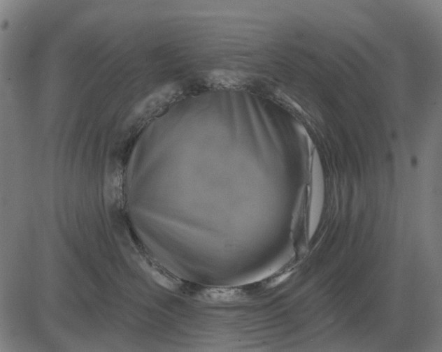 X0000084560526200703091748