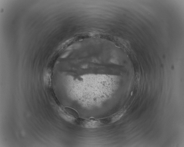 X0000084560527200703091748