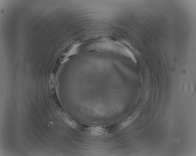 X0000084560528200703091748