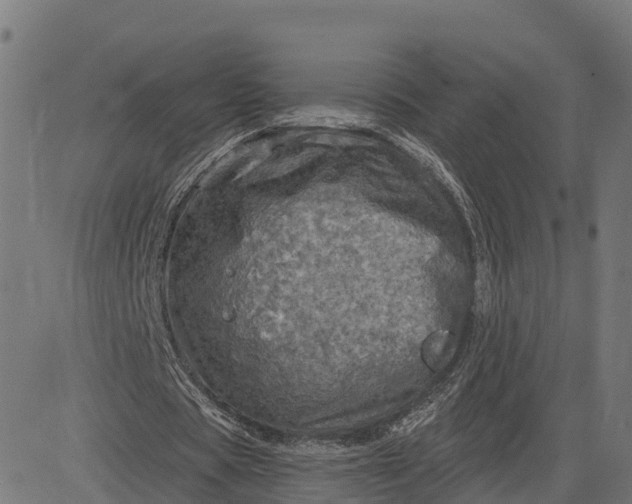 X0000084560529200703091747