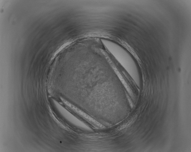 X0000084560530200703091747