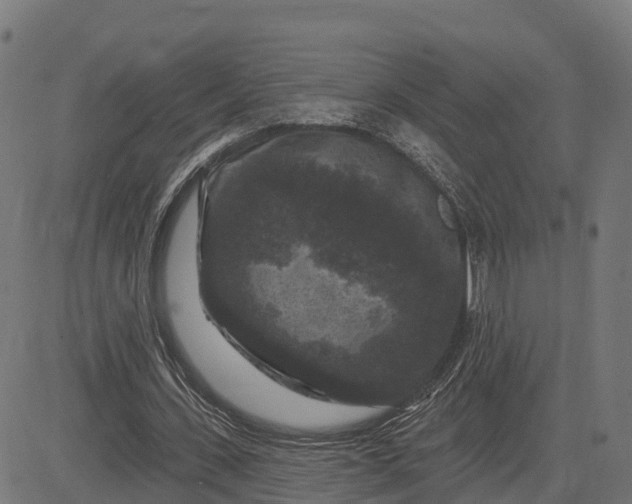 X0000084560531200703091747