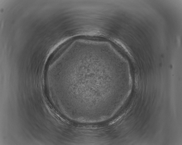 X0000084560532200703091747