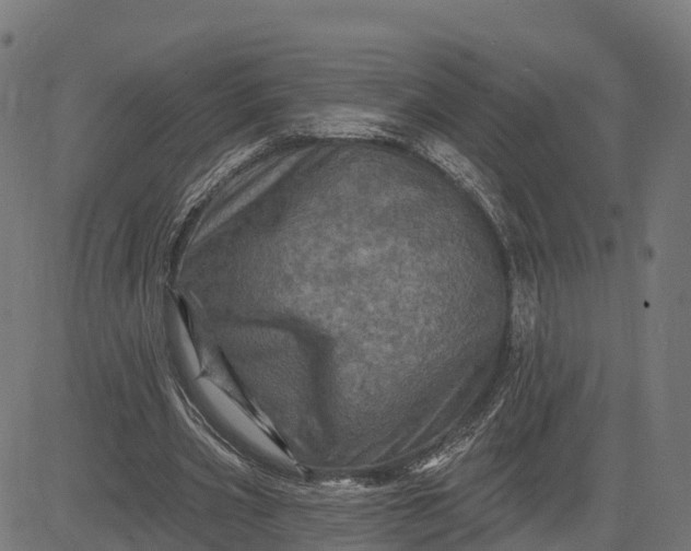 X0000084560533200703091747