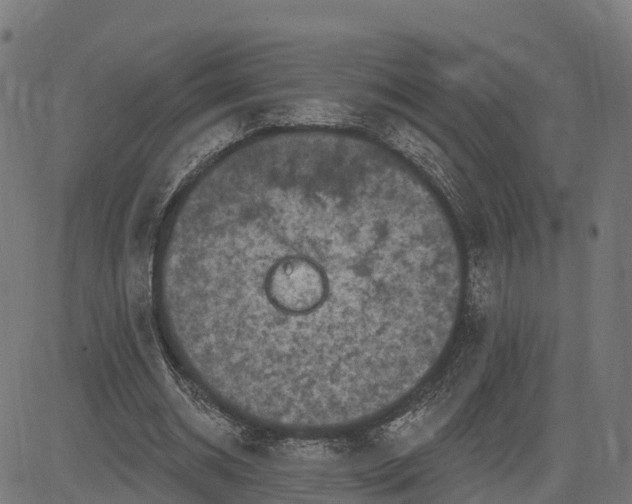 X0000084560534200703091747