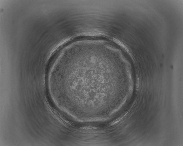 X0000084560535200703091747