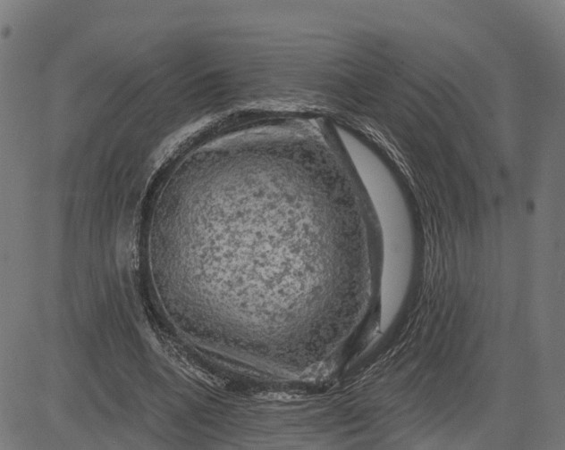 X0000084560536200703091747