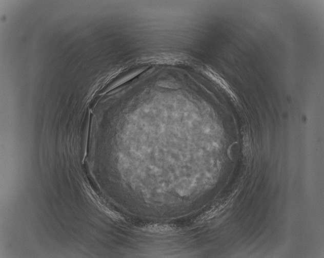 X0000084560537200703091747