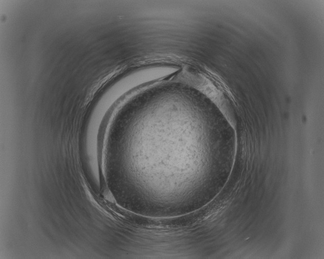 X0000084560538200703091747