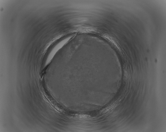 X0000084560539200703091747