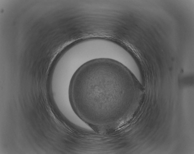 X0000084560540200703091748