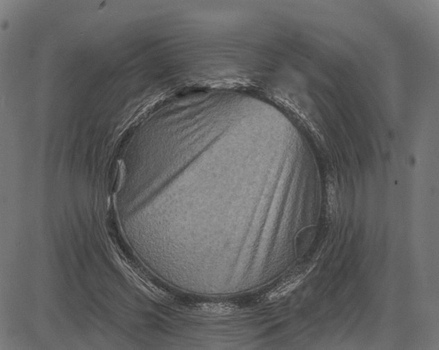 X0000084560541200703091748